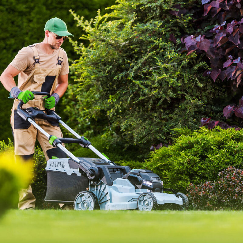 Lawn Maintenance Solutions