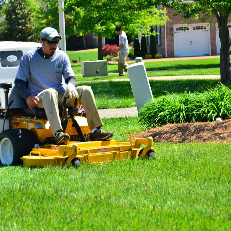 Local Lawn Care Experts