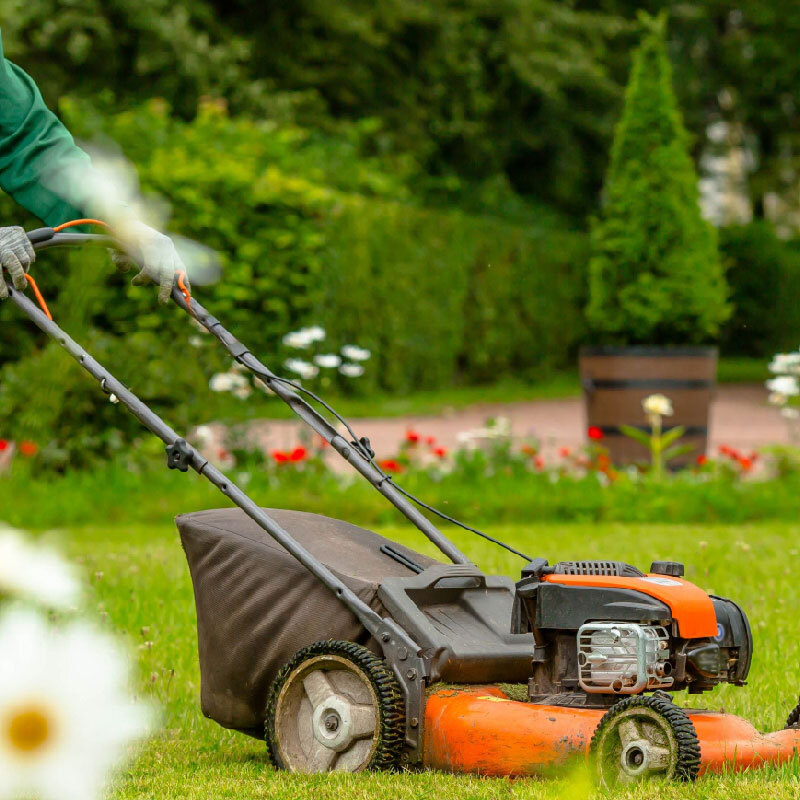 Property Maintenance for Lawn Care