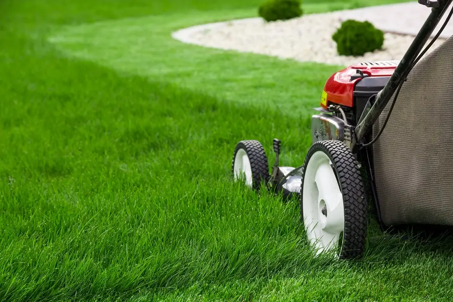 Residential vs Commercial Lawn Mowing